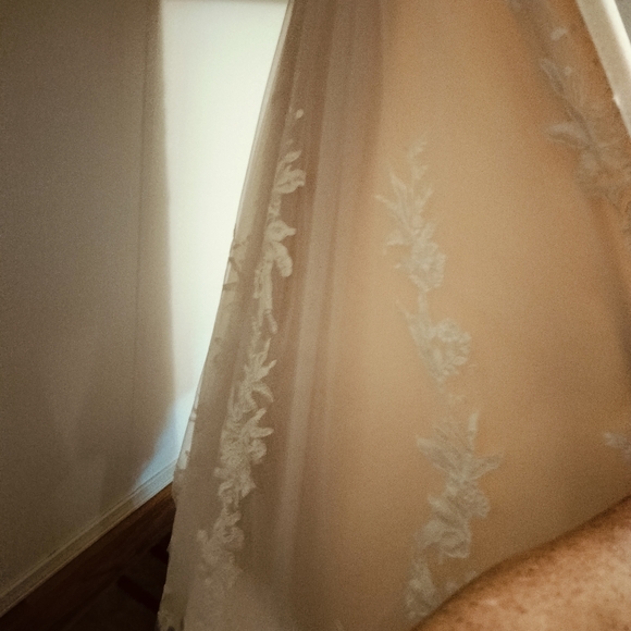 Elegant Lace Wedding Dress - Picture 3 of 9